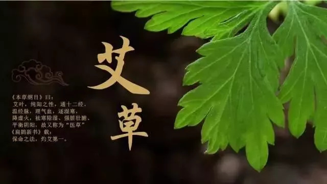 干艾草功效厉害且便宜