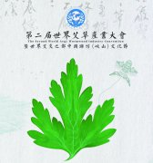 第二届世界艾草产业大会将于6月8日-10日潍坊召开