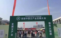 首届中国艾产业发展大会盛大开幕