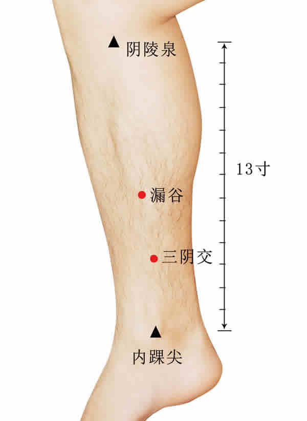 三阴交穴的准确位置图