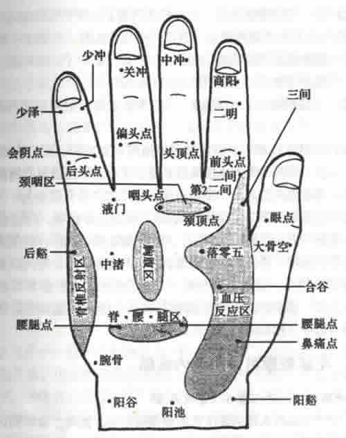 人体手部穴位图