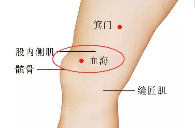 血海准确位置图和作用这么强,补气补血灸血海穴!