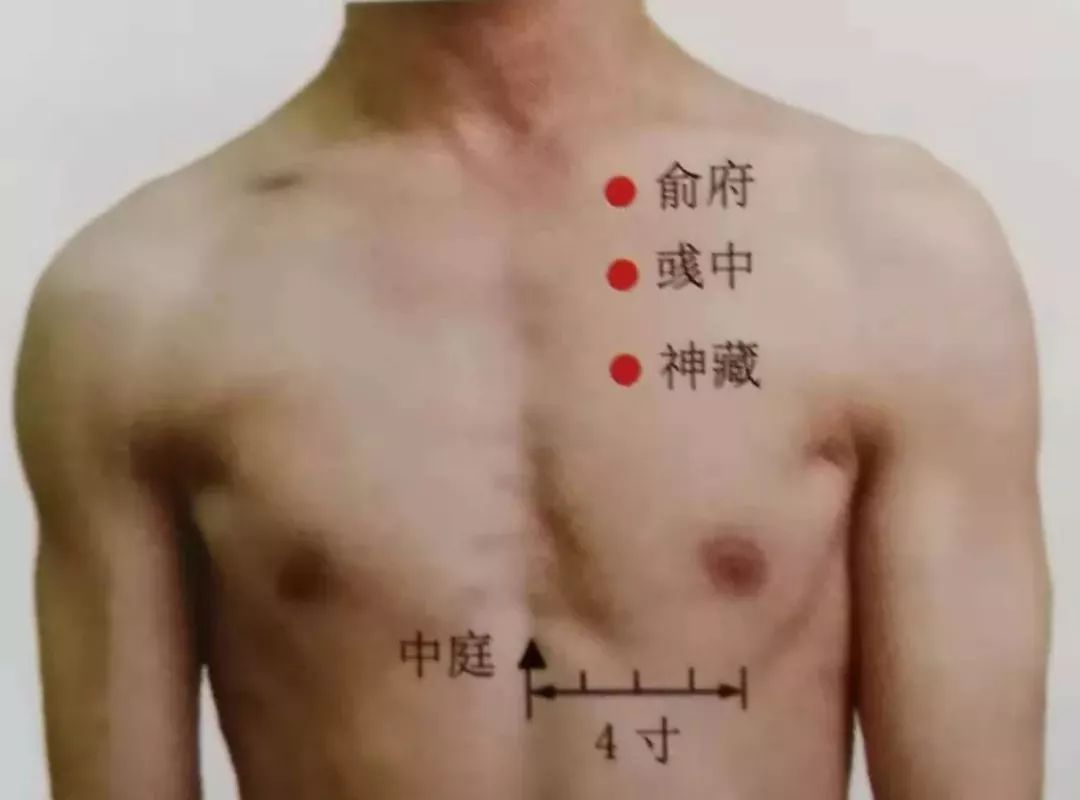 PPT - 手太阴经络与腧穴 The Lung Meridian of Hand-taiyin PowerPoint Presentation - ID:4116299