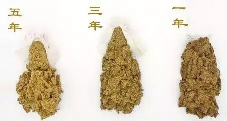 艾炙的作用和功效