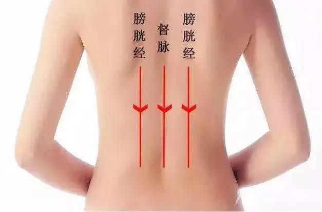 背部艾灸的功效与作用