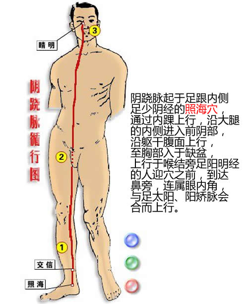 阴跷脉经络循行图及穴位