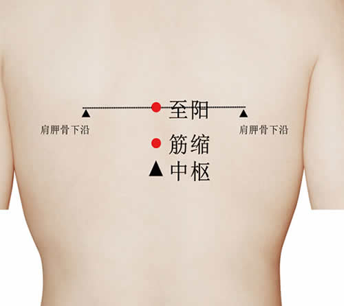 筋缩穴的功效作用