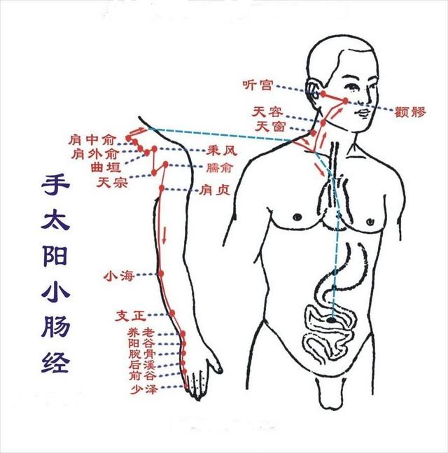 打通小肠经的最快的方法