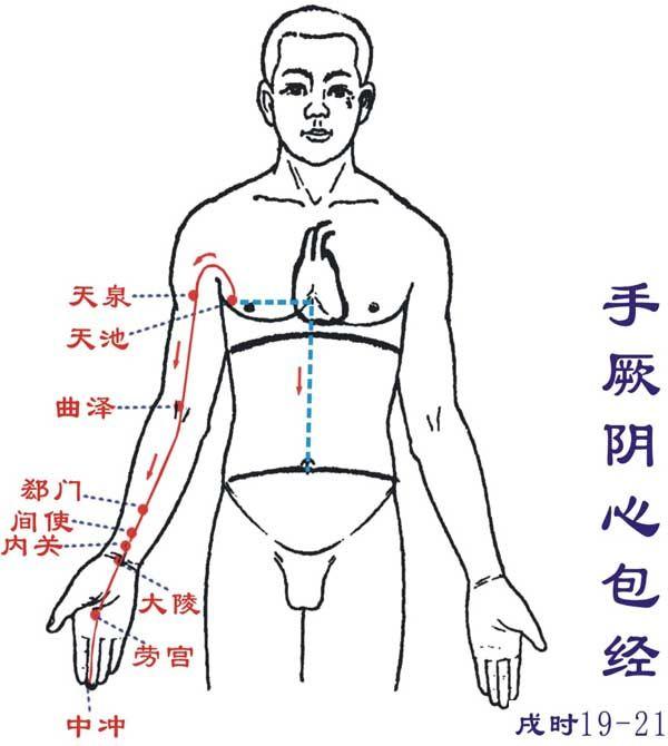 手厥阴心包经循行图