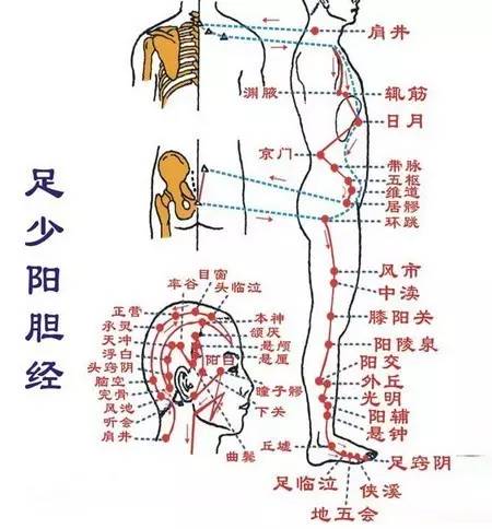 足少阳胆经