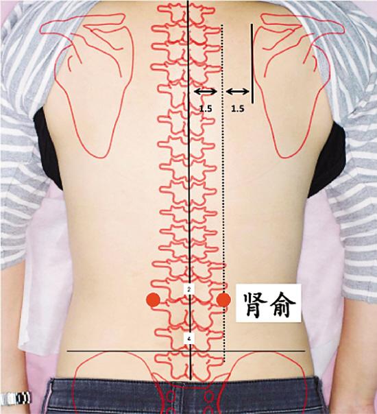 艾灸的作用和禁忌