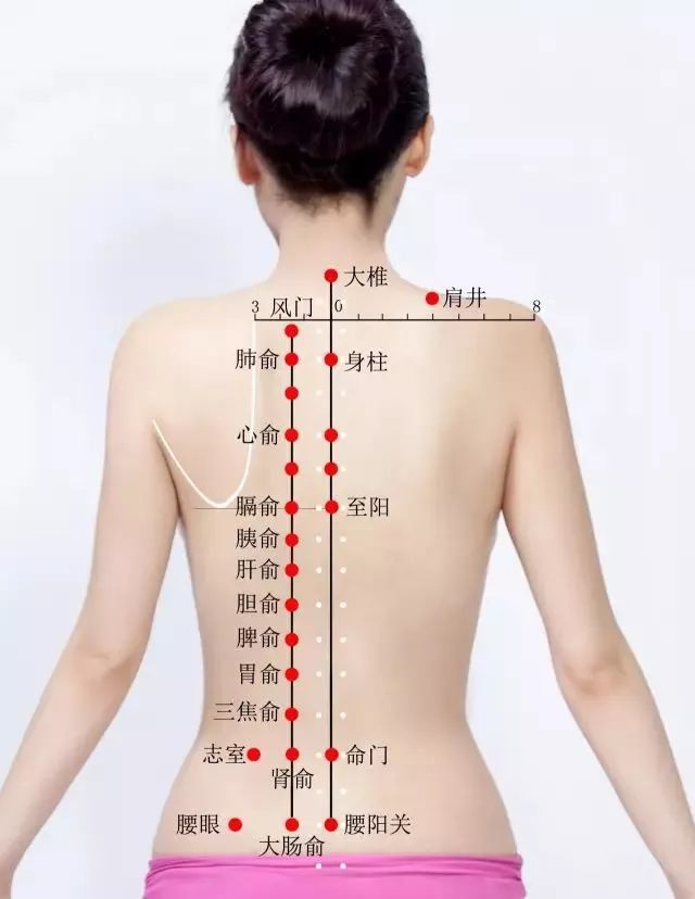 找肺俞最笨方法,小儿肺俞准确位置图