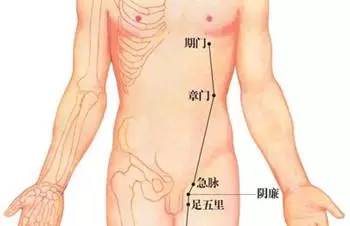 章门穴的准确位置图