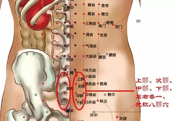 中髎穴的准确穴位图