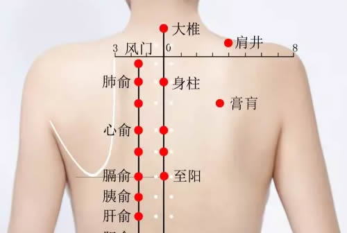 膏肓穴的准确穴位图及作用