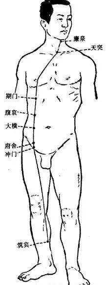 阴维脉的循行图