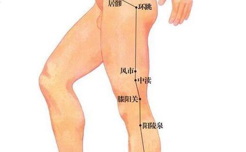 风市穴的准确穴位图