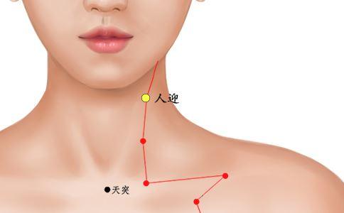 人迎穴的准确位置图及功效作用