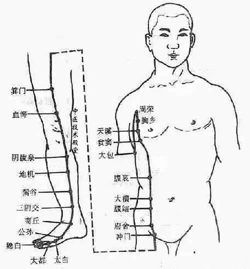 足太阴脾经的经络易堵点